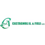 castagnoli-arnaldo-e-figli-logo